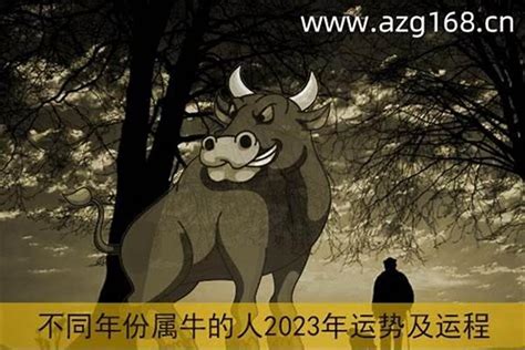 2023年的牛年运程 2023年本命年做生意财运怎样太岁若朴堂文化