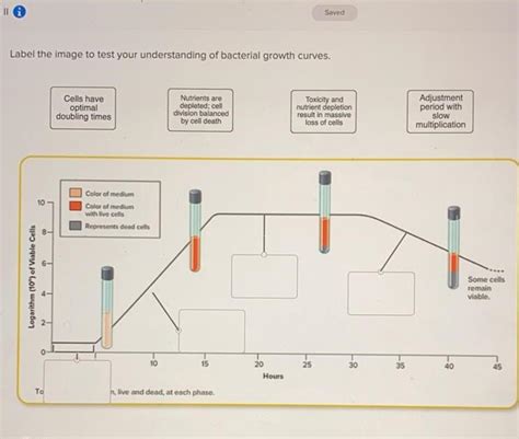 Solved Saved Label The Image To Test Your Understanding Of Chegg