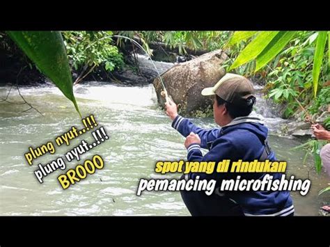 Strike Bertubi Tubi Mancing Ikan Wader Di Sungai Ogon Ngaprak