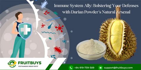 Freeze Dried Durian Powder A Nutritional Powerhouse Unveiling Health