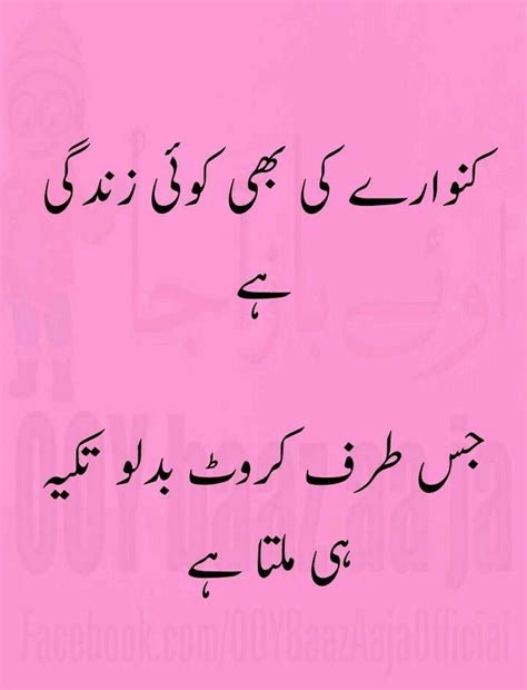 Funny Sexist Quotes In Urdu Shortquotescc