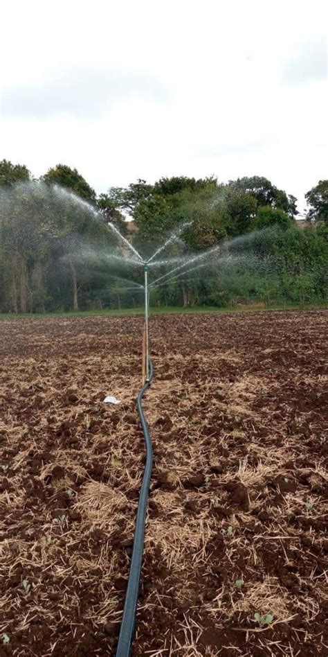 Overhead Sprinkler Irrigation By Aqua Hub Kenya