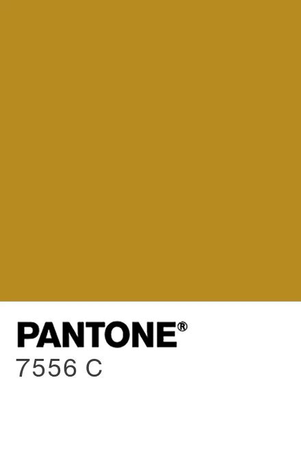 PANTONE 7556 C Pantone色号库 Pantone潘通中国官网