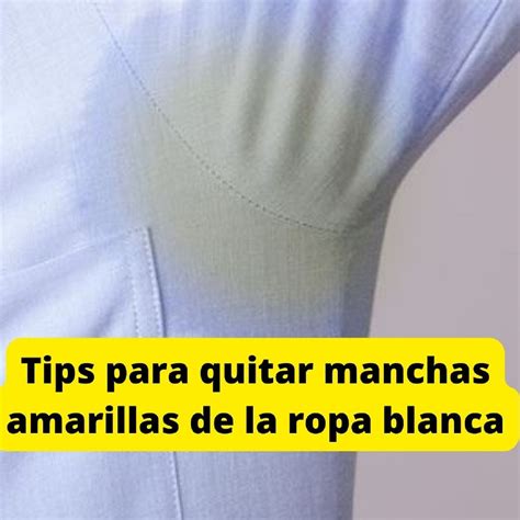 Total 44 Imagen Quitar Manchas Axilas Ropa Blanca Abzlocal Mx