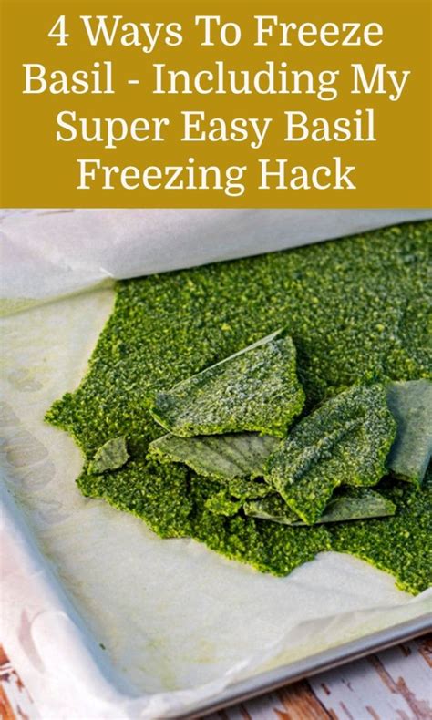 4 Ways To Freeze Basil Including My Easy Basil Freezing Hack