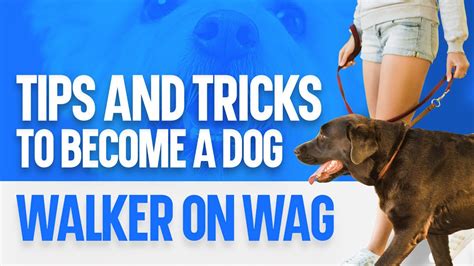 Tips And Tricks To Become A Dog Walker On Wag Youtube