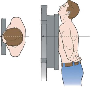 Powerpoint Chapter 3 General Anatomy And Radiographic Positioning