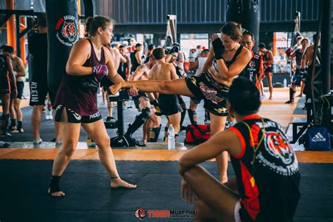 Muay Thai training Program for Beginners at Tiger Muay Thai
