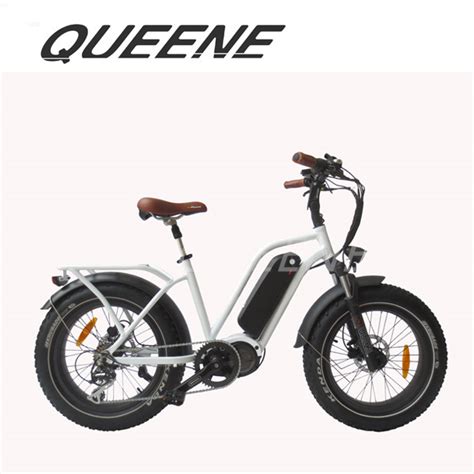 Queen China Wholesale V Lithium Battery Pedal Assist Fat Tire City