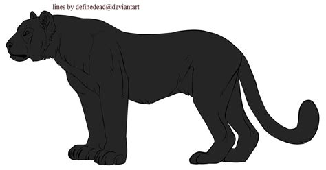 Tiger Lineart By Definedead On Deviantart