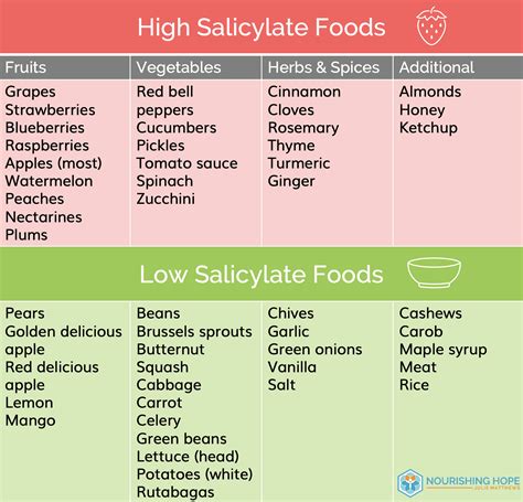 Low Salicylate, Low Amine, Low Glutamate Recipes - Nourishing Hope