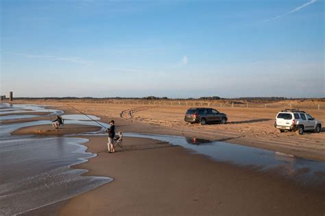 Delaware State Parks expected to set visitation record | State ...