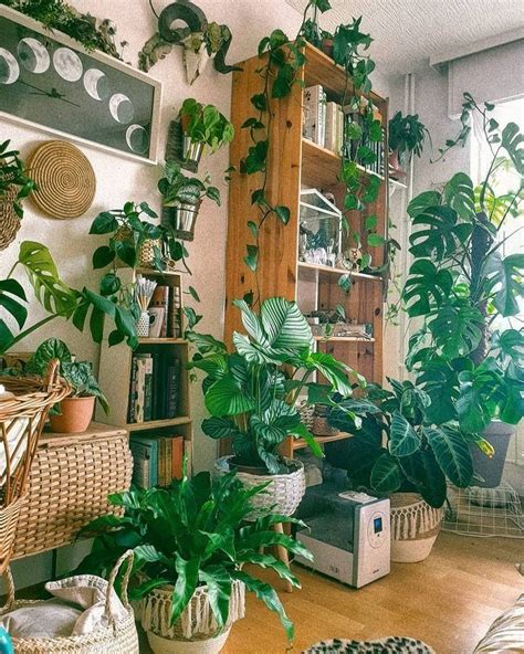 A Living Room Filled With Lots Of Plants And Bookshelves Next To A Window