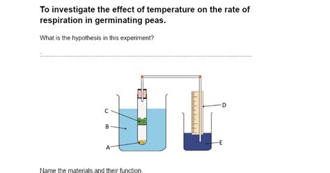 Simple Respirometer Worksheet - Google Docs