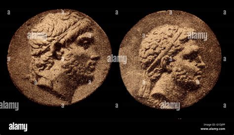 Perseus von macedon Fotos und Bildmaterial in hoher Auflösung Alamy