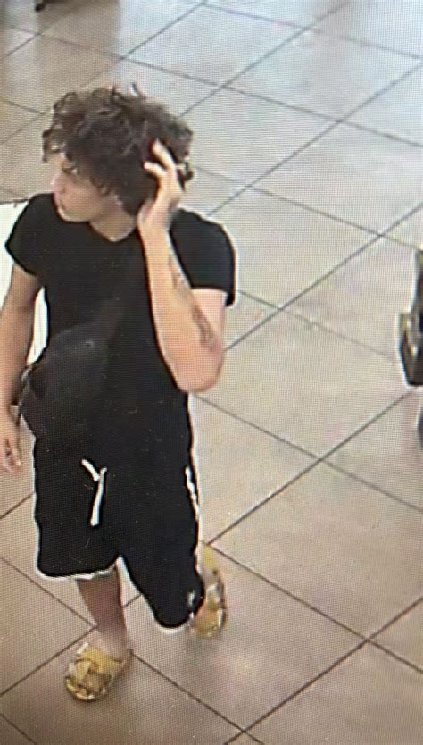 Help Solve A Crime | Car Burglary, Hudson - Pasco Sheriff's Office News