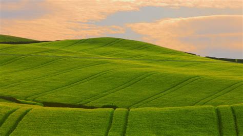 Green Grass Field Under Cloudy Sky Hd Wallpaper Wallpaper Flare