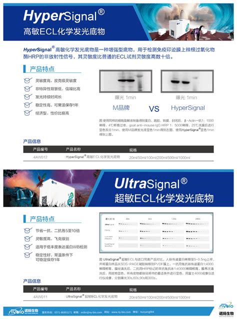 【四正柏】限时特惠 买一送一 诺扬生物