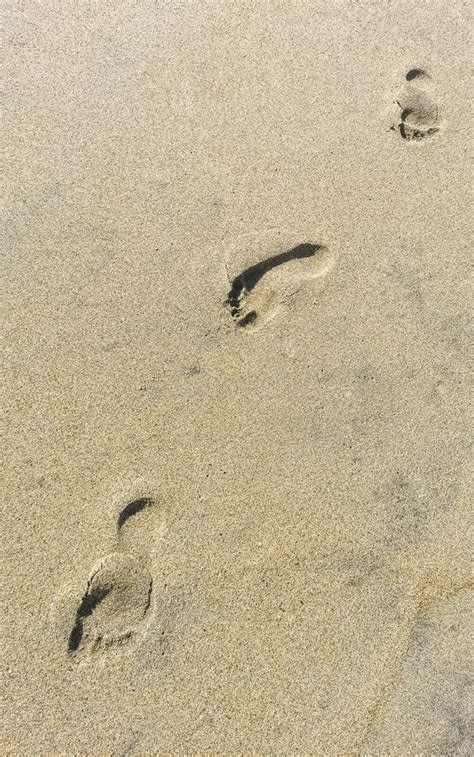 Footprint Footprints On The Beach Sand By The Water Mexico Stock Image