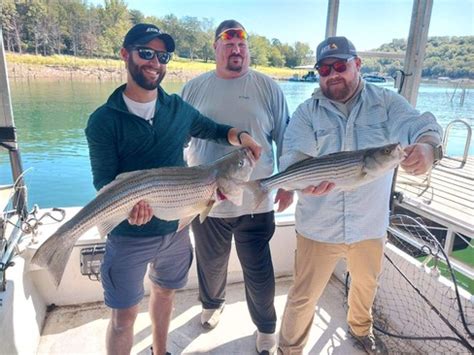 Beaver Lake Striped Bass Fishing Report Guided Striper