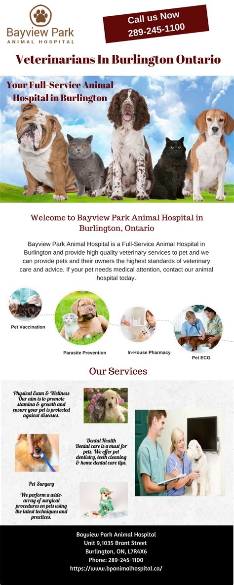 bayview animal hospital burlington - Roy Blais