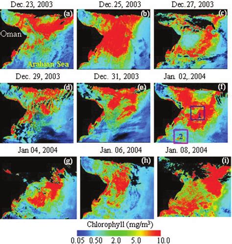 Irs P Ocm Derived Chlorophyll Images Off The Oman Coast And Gulf Water