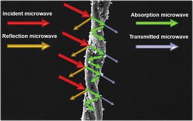 Schematic Representation Of Microwave Attenuation By Helical Nacf Pani