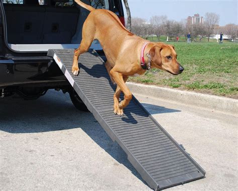 Ramp For Dog Into Motorhome Forest River Forums