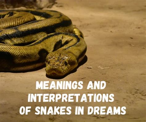 Unraveling The Symbolism And Interpretation Of Dreaming Of A Venomous