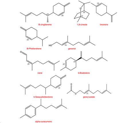 Zingiber Officinale Structure