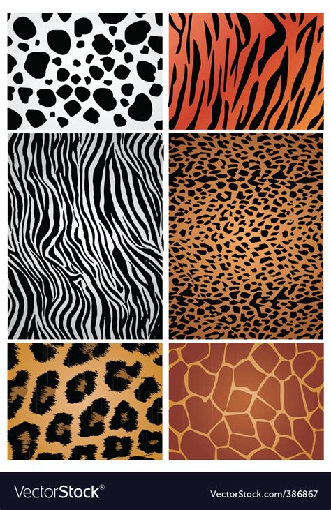 Animal print patterns Royalty Free Vector Image