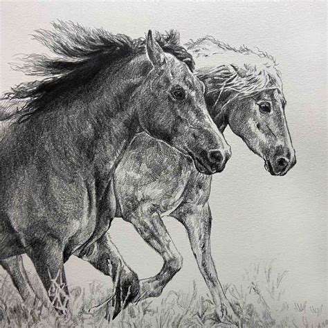 Custom horse portraits – Pencil sketch – PETPO – Custom portraits ...