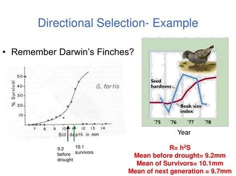 PPT - Evolution by Natural Selection as a Syllogism PowerPoint ...