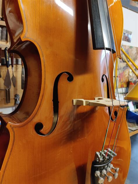 Reghin Violoncello 3 4 USATO