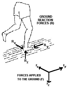 Ground Reaction Force