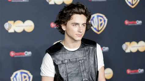 Un Xito De Taquilla Con Timoth E Chalamet Que No Es Dune Se Estrena