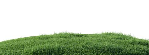 Realistic Grass PNGs for Free Download