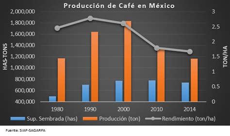 Por Qu No Se Puede Cultivar Caf En El Norte Del Pa S