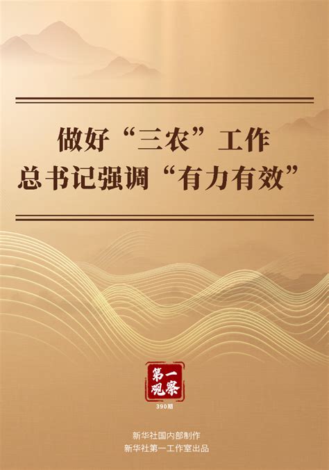 第一观察做好三农工作 总书记强调有力有效 新华网客户端