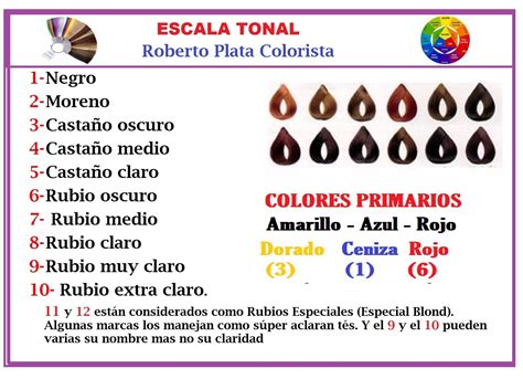 La Tabla De La Escala Tonal Colores De Tintes Para Cabello Técnicas