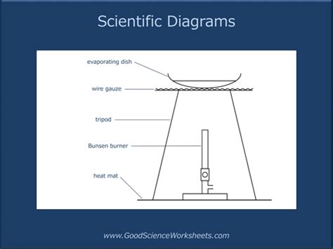 Scientific Diagrams Presentation Teaching Resources