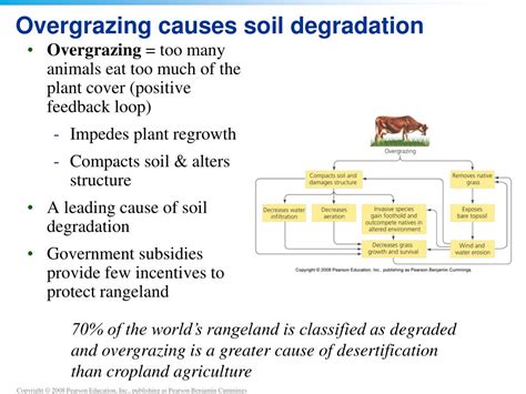 Ppt Chapter 9 Soil Degradation And Conservation Powerpoint