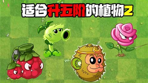 植物大战僵尸：pvz那些适合升五阶的植物2！高清1080p在线观看平台腾讯视频