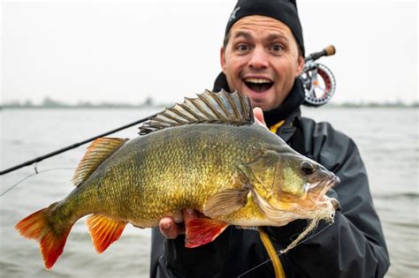 De Meest Unieke Manier Om Baars En Snoekbaars Te Vangen Roofmeister