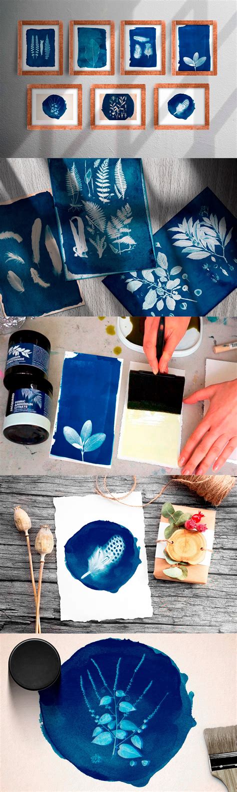 Cyanotype Digital Photoshop Effect Design Cuts