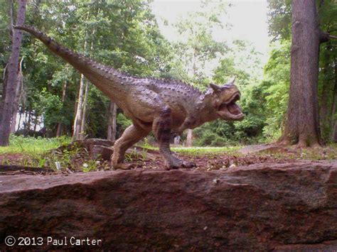 Papo Carnotaurus by Carnosaur on DeviantArt
