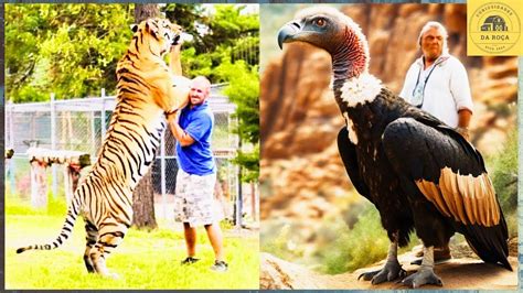 Conhe A Os Maiores Animais J Capturados Revelado O Extraordin Rio