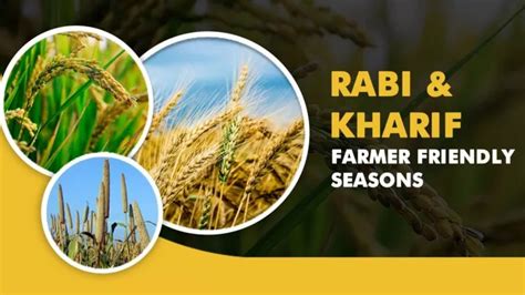 PPT Why Rabi And Kharif Season Is Best For Farming PowerPoint