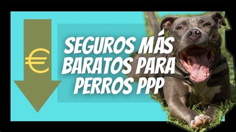 Mejores Seguros Para Perros Ppp 2023