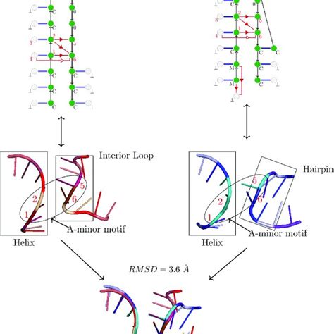 Two Examples Of Uncontracted 3 1 2 5 6 Extensions Above The Induced